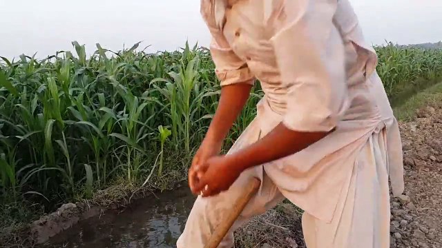 Walid Ke Ehsas Ki Kadar Karni Chaye