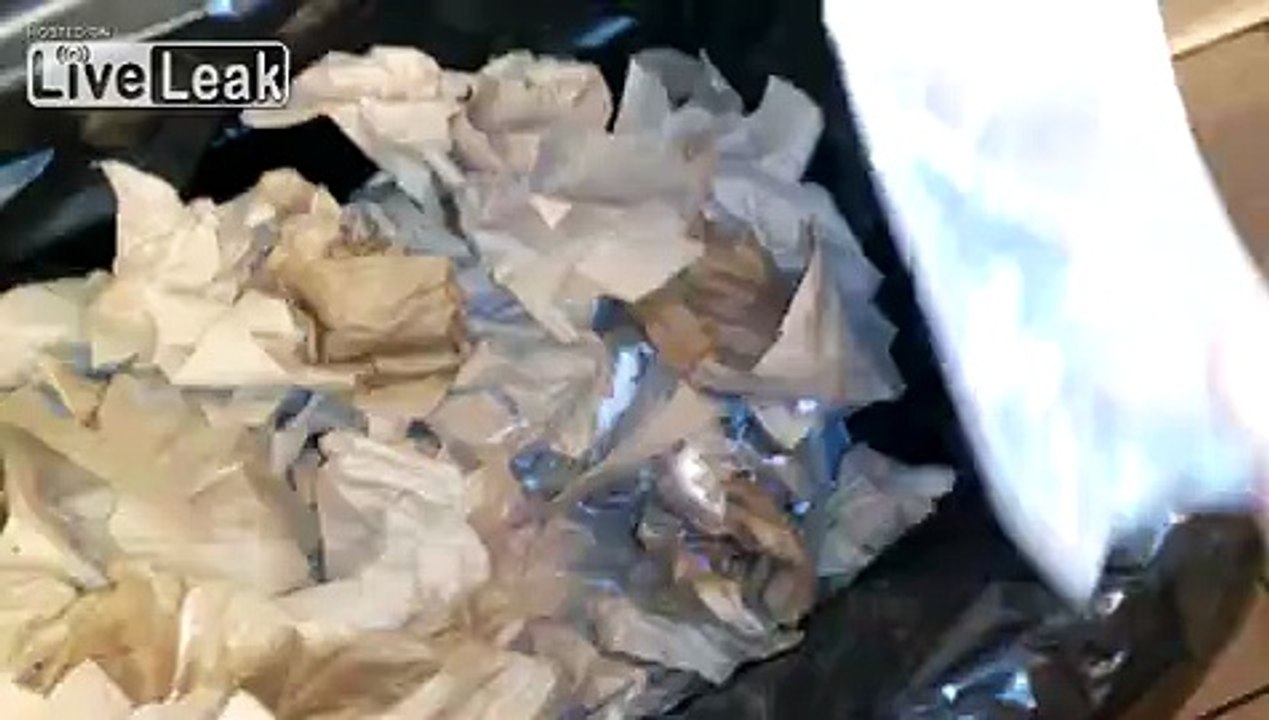 what would you do?? Fucking tweekers