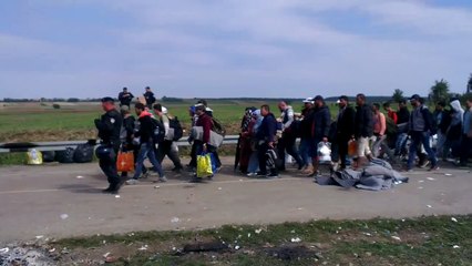 Refugees on Croatian-Serbian border 22.09.2015