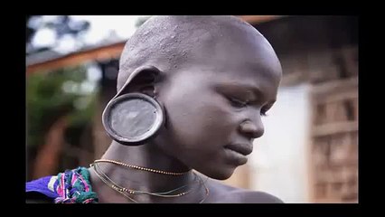 Wild life Animals Documentary Lion Fishing