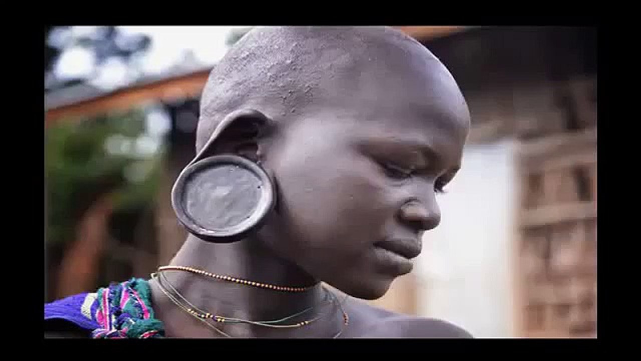 Wild life Animals Documentary Lion Fishing