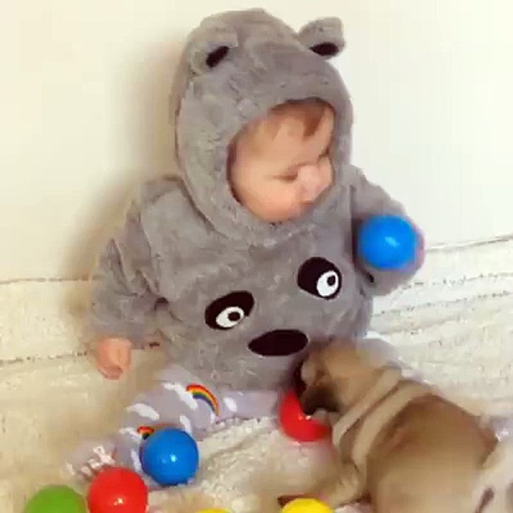 Puppy Vs Baby