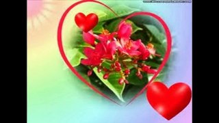 Romantic Love Flowers for Your True Love pictures