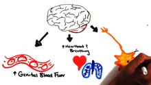 The Science of Orgasms