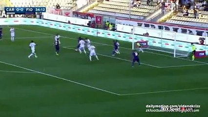 Ola Toivonen Amazing GOAL - Sunderland 1-4 Man City