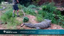 Old Man Pokes the Wrong Crocodile