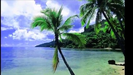 Zekai Tunca   Mavili