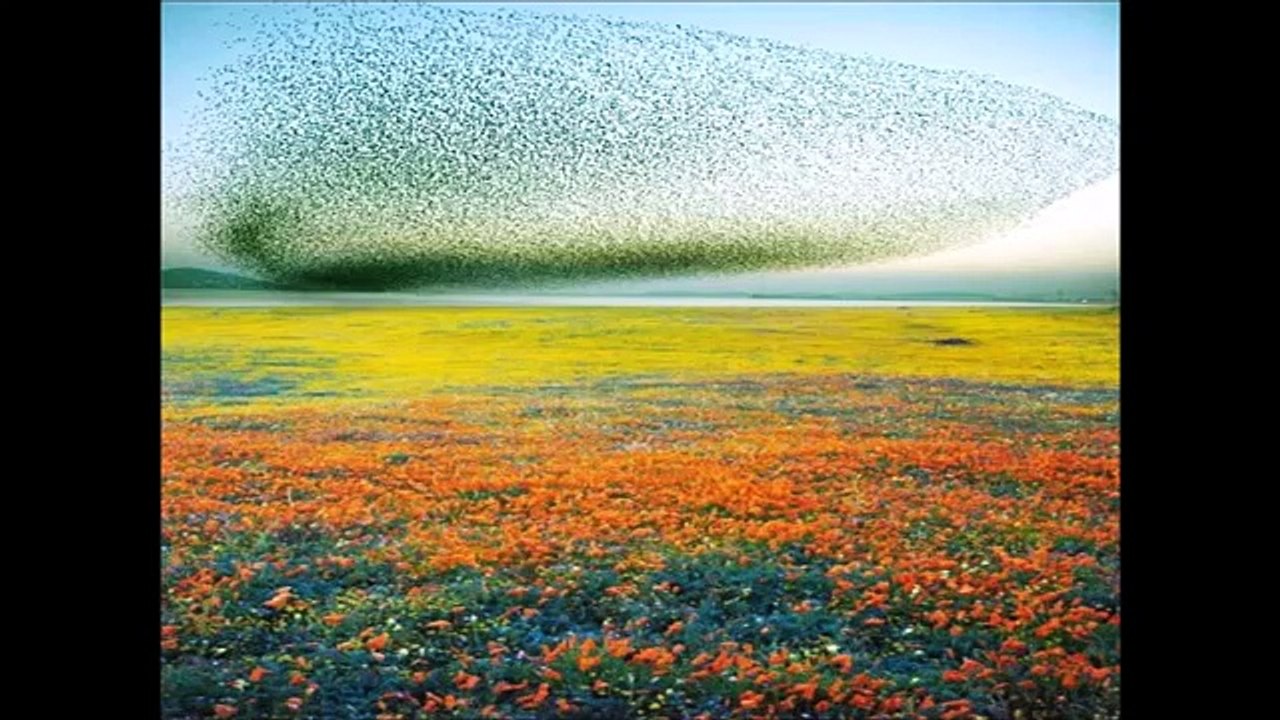 DUA - NECDET TOKATLIOĞLU