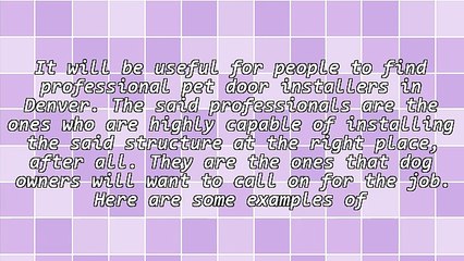 How To Search For Professional Pet Door Installers