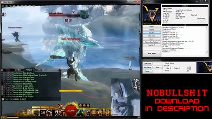 GUILD WARS 2 VIPER BOT v2.4 + DOWNLOAD