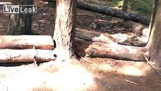 LiveLeak.com - 10fold YS: Garbage in the woods. transients.