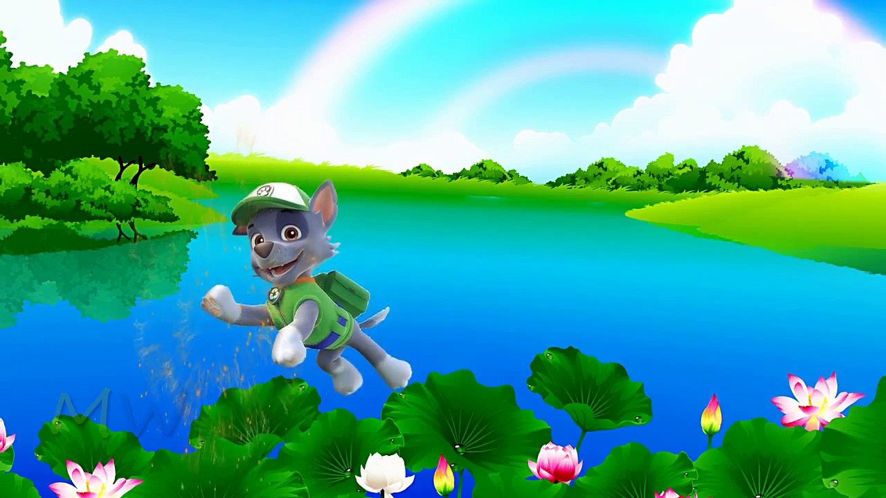 Paw Patrol 03  Top Most Finger Family Rhymes | Kids Nursery Rhymes