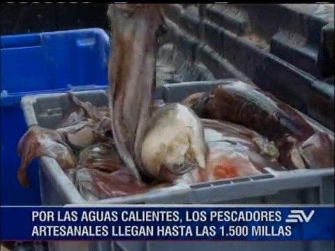 Captura de atún en aguas ecuatorianas se reducirá
