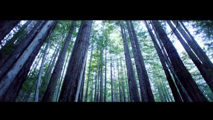 Steve Aoki ft Fall Out Boy - Back To Earth - Official Video