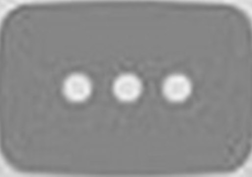 Corgi Gets Cranky at 'Cat Thief'