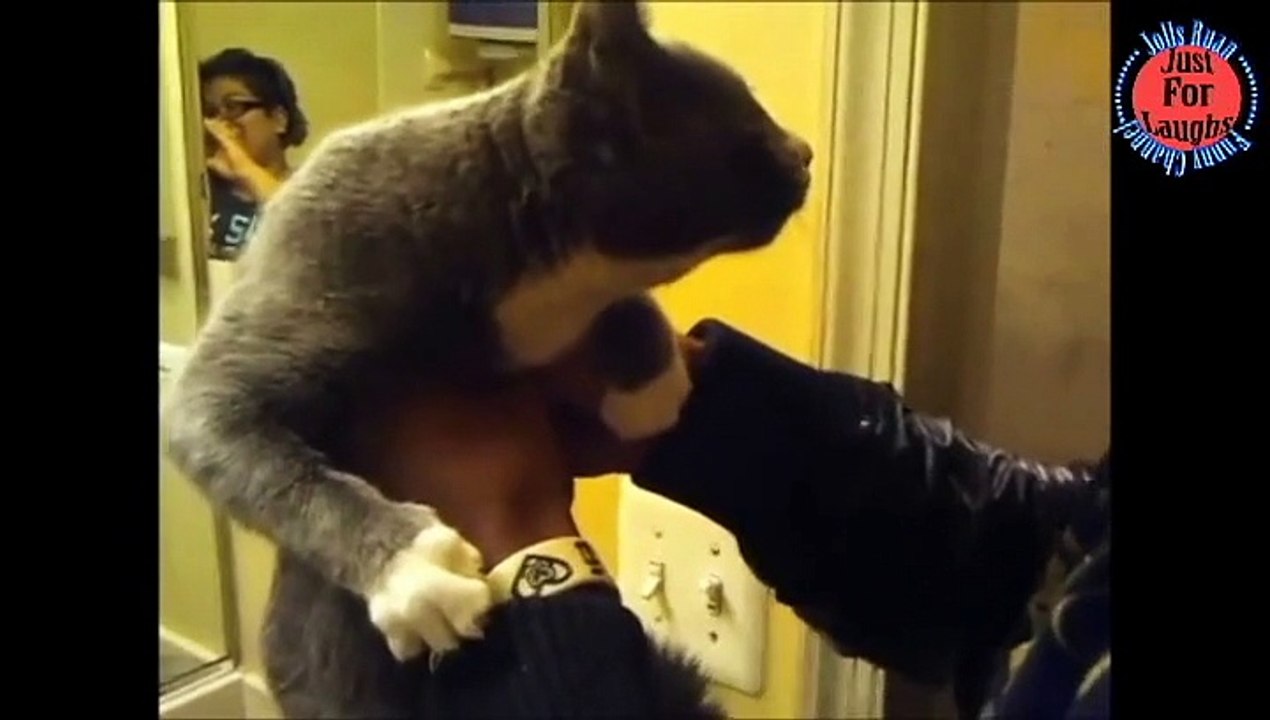 Funny - Dog and Cat