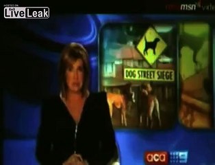 LiveLeak.com - Dog attack