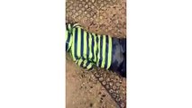 LiveLeak.com - Little Boy Rushes Down Super Slippery Slide