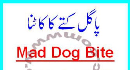 Mad dog bite