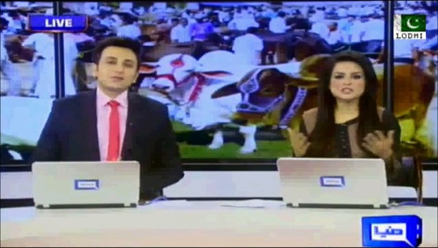 Catwalk with Sacrificial Animals: Eid Al-Adha Sacrifice, a 'religious duty' that became a fashion & show off.