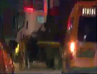 TEM'de boğa kaçtı polis kovaladı