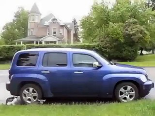 مادہ ہرن کا کتے سے ظالمانہ انتقام ویڈیو دیکھیں...Deer Punishes Dog for Hurting Her Baby