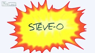 Steve-O And The Hedgehog