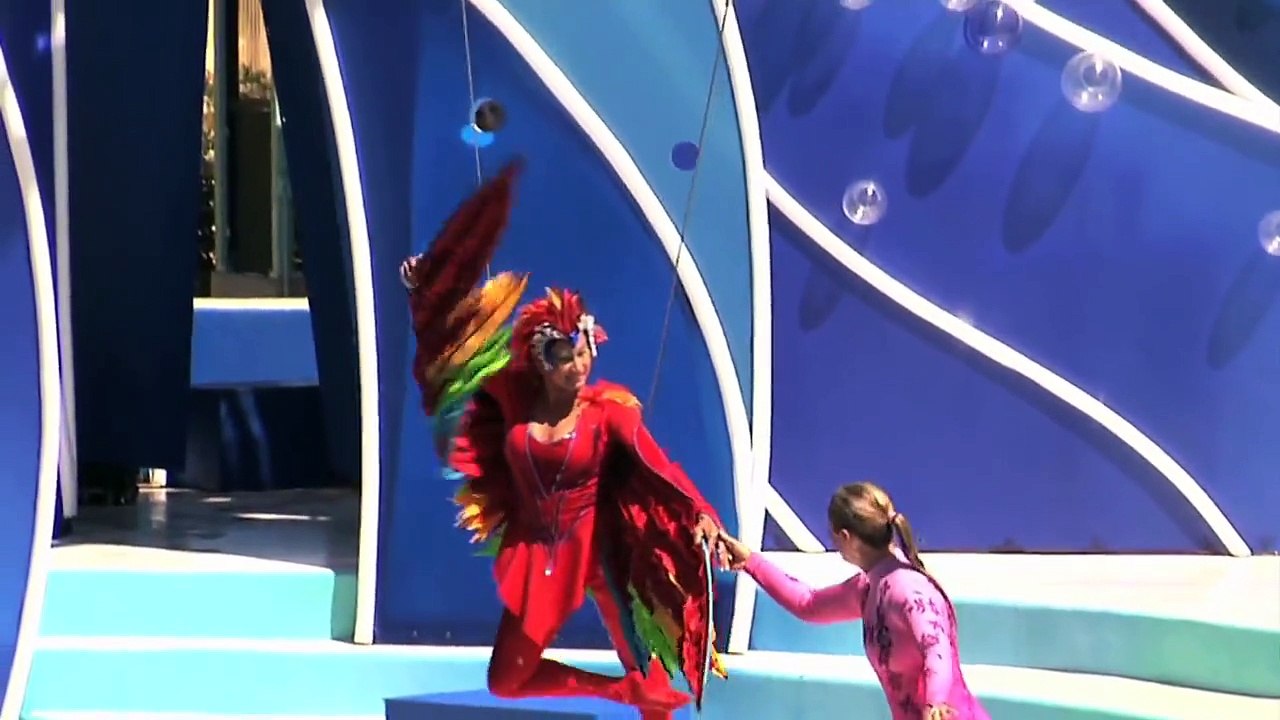 Blue Horizon®s Debuted _ SeaWorld® San Diego