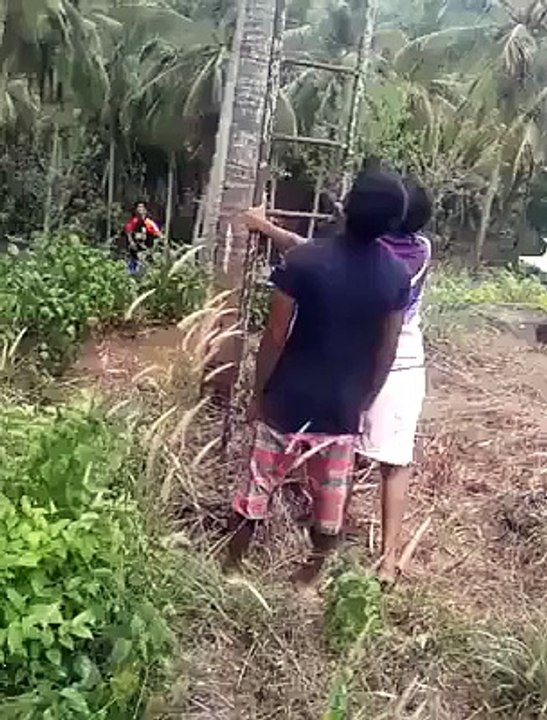 Funny Video Clip While Boys are Trying to Cut of Date Tree