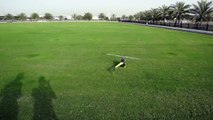 Extreme RC Helicopter Aerobatics