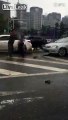 LiveLeak.com - Police officer punched in head by traffic violator