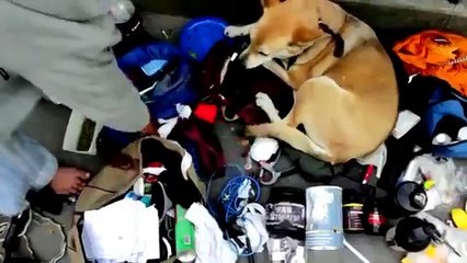 Homeless bodybuilder, his name is Jacques Sayagh and he is 50. There are no excuses.