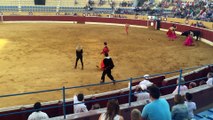 PETA Activist protested against Bullfight jumping in the Ring