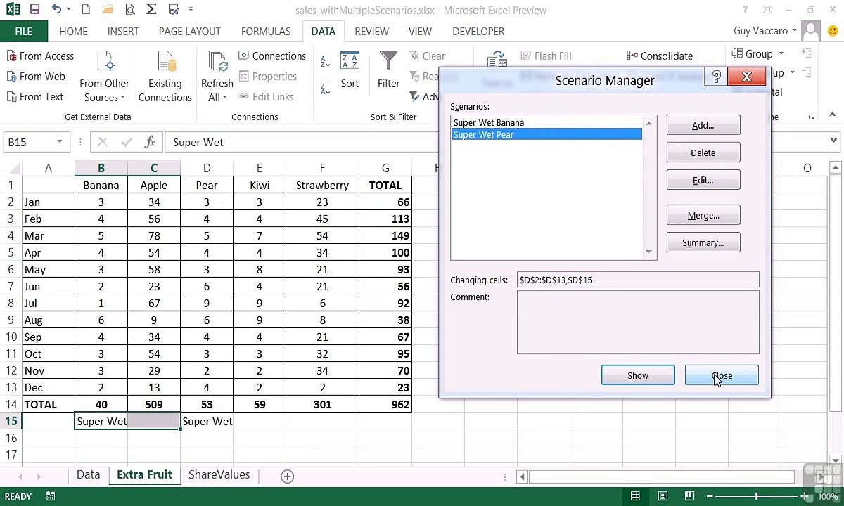 MS Excel - Merging And Deleting Scenarios - 08-04