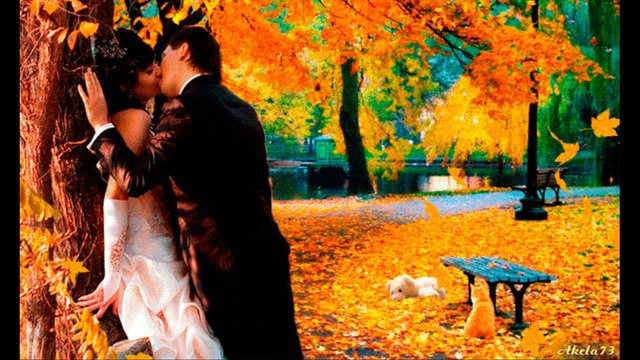 ОСЕНЬ, ОСЕНЬ...