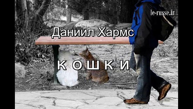 Кошки - Даниил Хармс - русская поэзия для детей - со словами