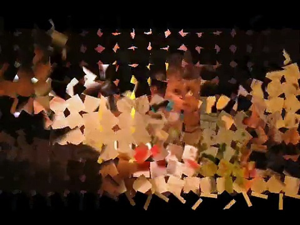 31.08.2009 Stop MC Donaldyzacji klip z akcji.