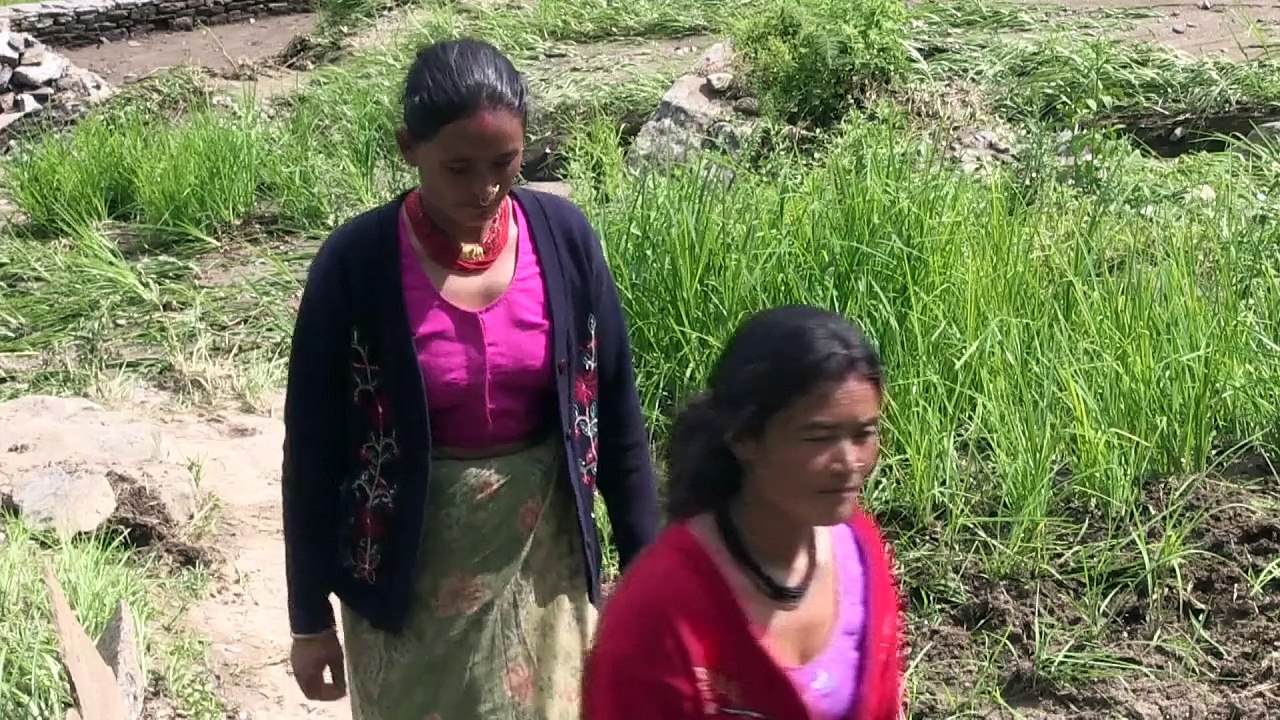 Einheimische schleppen Hilfsgüter in Nepals Bergregionen