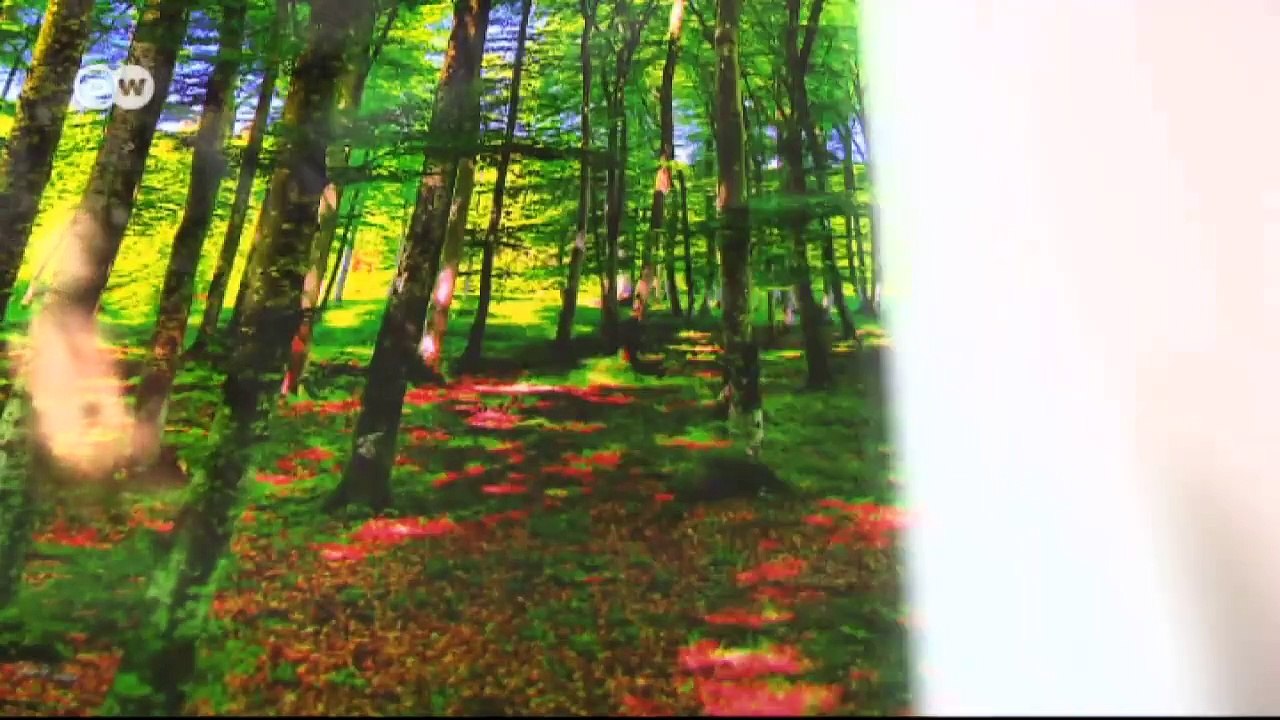 Seltene Einblicke: Die 'Oktoberfest Cathedrals' | Euromaxx