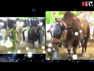 Subah Kay 10 - Eid Special - HTV