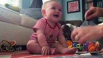 LiveLeak.com - Baby Bursts Into Contagious Laughter When Page Rips Out