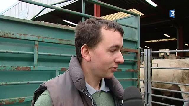 Nièvre : le marché au cadran de Moulins-Engilbert tourne au ralenti