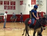 Match de basket à dos d'âne