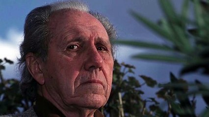 DIRECTED BY NELO RISI