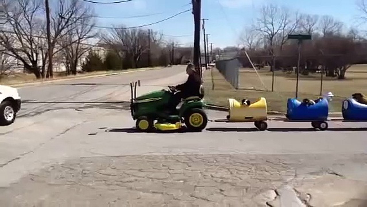 Un mini train pour chiens
