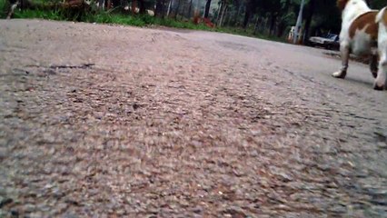 Cicismo rural em Taubaté, SP, Brasil, Trilhas nas estradas vicinais