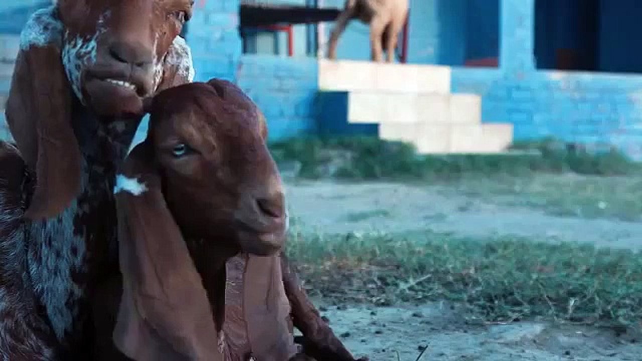 bakra eid Mubarik 2015