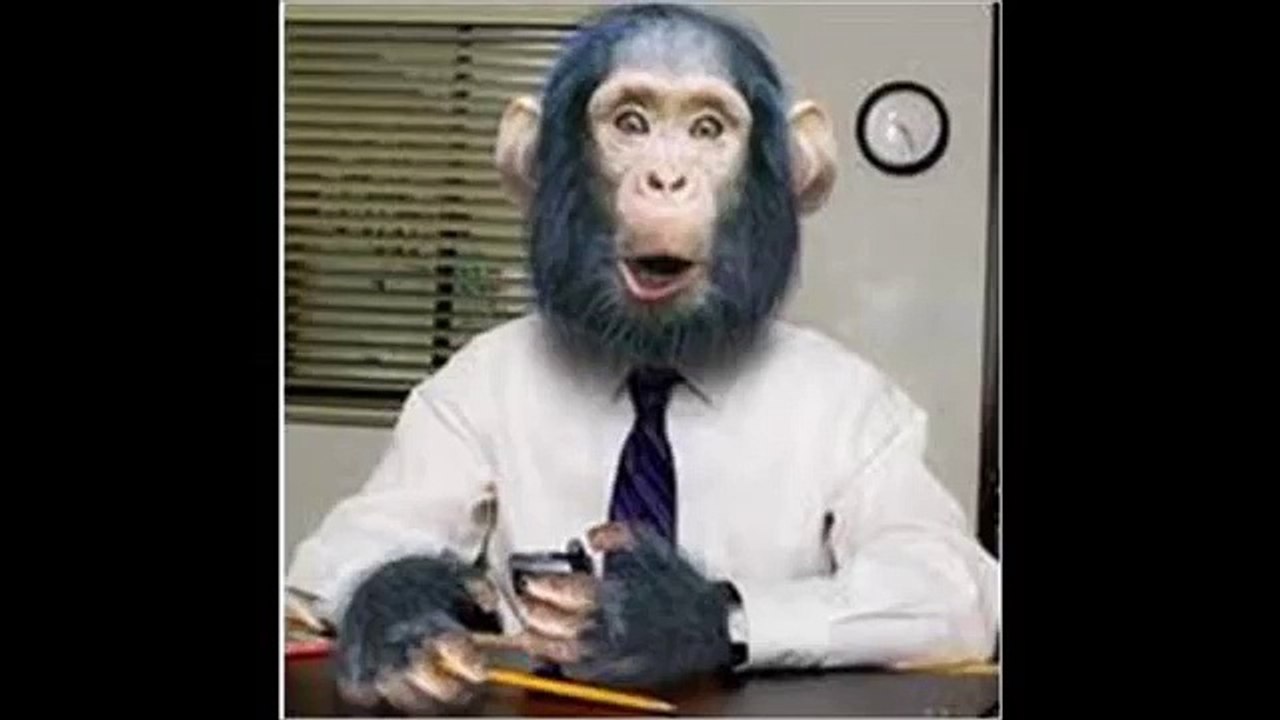 danse folle ! le ridicule ne tue pas , la preuve en image :)