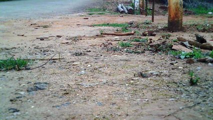 Cicismo rural em Taubaté, SP, Brasil, Trilhas nas estradas vicinais