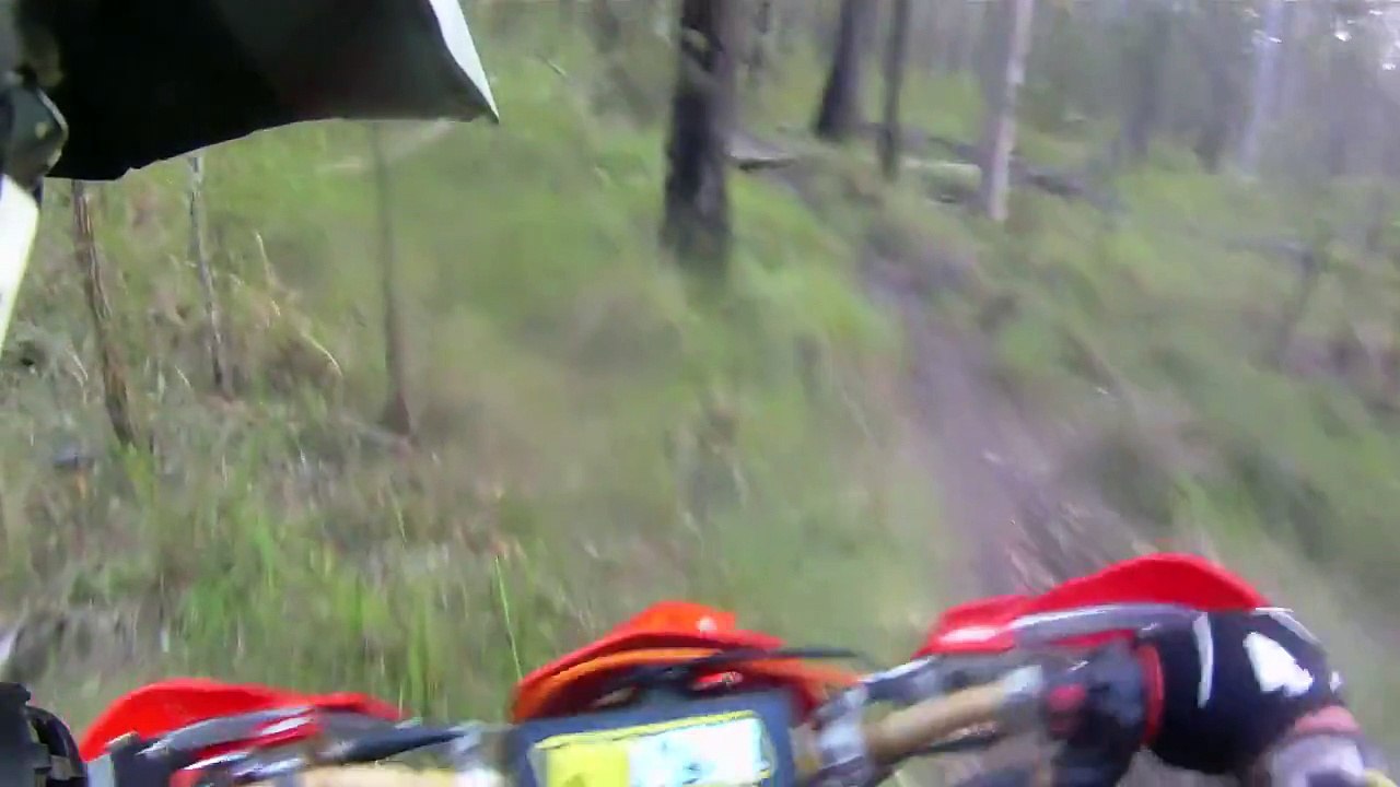 ENDURO SINGLE TRACK RACING - KTM 300 vs Husaberg TE 300